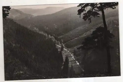 [Ansichtskarte] GERMANY - Tambach-Dietharz / Thür. - Dietharzer Grund. 