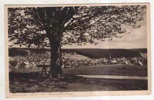 [Ansichtskarte] GERMANY - Braunlage. 