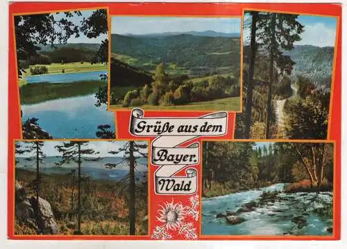 [Ansichtskarte] GERMANY - Grüße aus dem Bayer. Wald. 