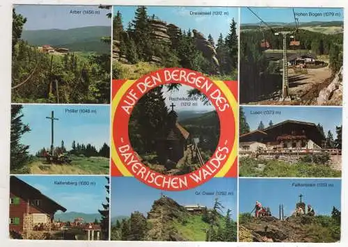 [Ansichtskarte] GERMANY - Bayerischer Wald. 