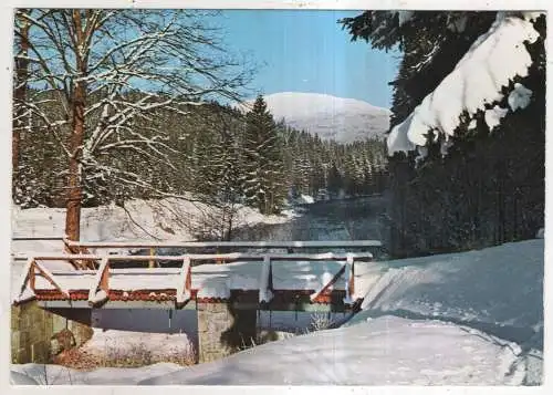 [Ansichtskarte] GERMANY - Blick z. Gr. Falkenstein m. Gr. Regen. 