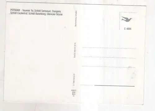 [Ansichtskarte] Potsdam. 