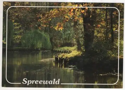 [Ansichtskarte] Spreewald. 