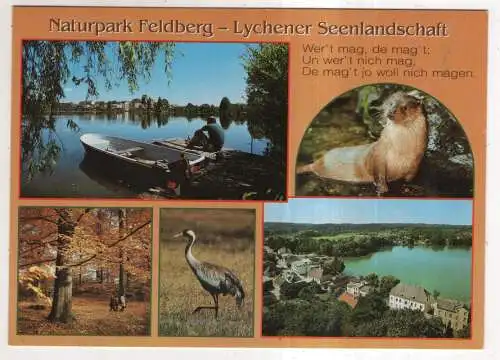 [Ansichtskarte] Naturpark Feldberg - Lychener Seenlandschaft. 