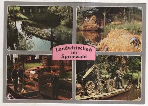 [Ansichtskarte] Landwirtschaft im Spreewald. 