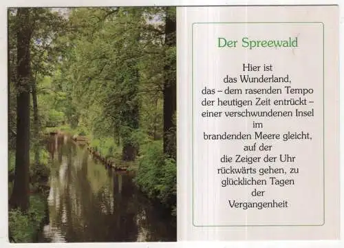 [Ansichtskarte] Der Spreewald. 