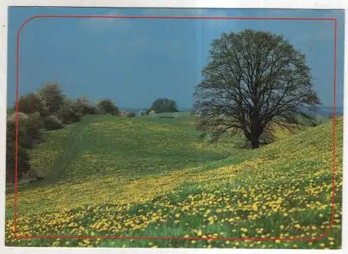 [Ansichtskarte] Urlaubsgrüße aus Mecklenburg. 