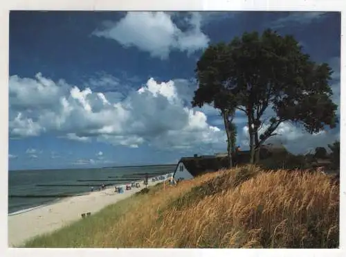 [Ansichtskarte] Ostseebad Ahrenshoop - Haus am Strand. 