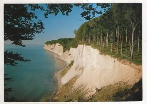 [Ansichtskarte] Insel Rügen - Blick auf die Kreidefelsen. 