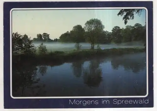 [Ansichtskarte] Morgens im Spreewald. 