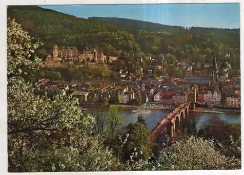 [Ansichtskarte] Heidelberg - Im Frühlingszauber. 