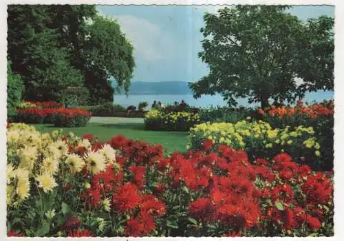 [Ansichtskarte] Insel Mainau im Bodensee. 