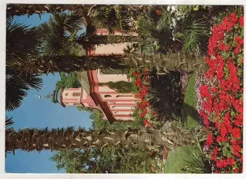 [Ansichtskarte] Insel Mainau im Bodensee  - Schloßterrasse mit Kirche und Hanfpalmen. 