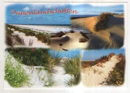 [Ansichtskarte] GERMANY - Dünenlandschaften. 