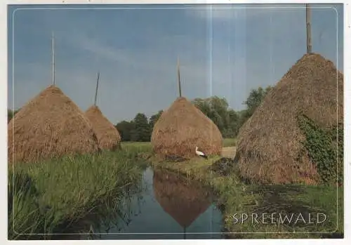 [Ansichtskarte] GERMANY - Spreewald. 