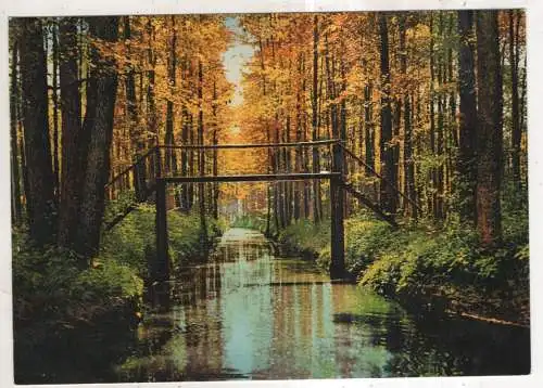[Ansichtskarte] GERMANY - Spreewald - Herbst im Hochwald. 