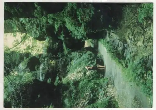 [Ansichtskarte] GERMANY - Elbsandsteingebirge - Felsentor im Uttewalder Grund. 