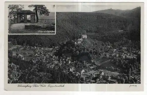 [Ansichtskarte] GERMANY - Schwarzburg / Thür. Wald - Trippsteinblick. 