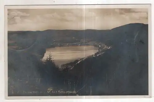 [Ansichtskarte] GERMANY - Titisee / bad. Schwarzwald. 