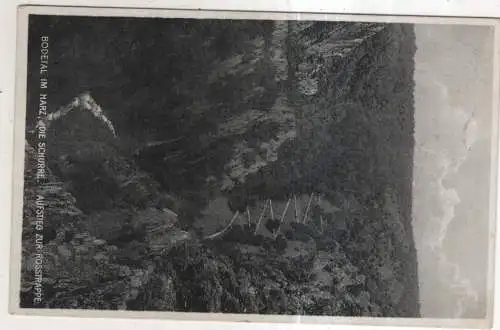 [Ansichtskarte] GERMANY - Bodetal im Harz - die Schurre - Aufstieg zur Rosstreppe. 