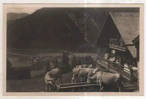 [Ansichtskarte] GERMANY - Bayrischzell - Zeller Niederalm. 