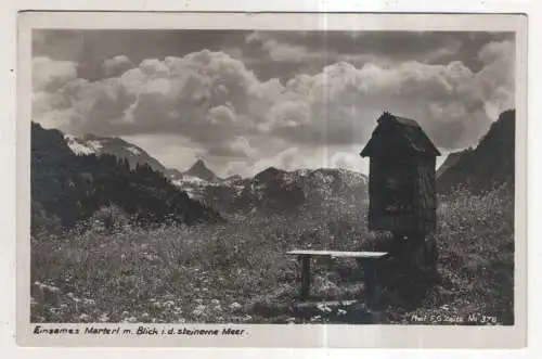 [Ansichtskarte] GERMANY - Einsames Materl m. Blick i. d. steinerne Meer - Berchtesgadener Land. 