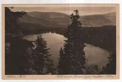[Ansichtskarte] SUDETEN - Böhmerwald - Blick von derSeewand zum Teufelssee. 