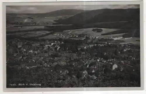 [Ansichtskarte] GERMANY - Goslar - Blick v. Steinberg. 