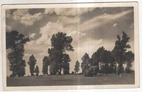 [Ansichtskarte] GERMANY. 