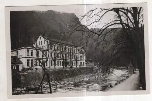 [Ansichtskarte] GERMANY - Thale a. Harz - Hotel Waldkater. 