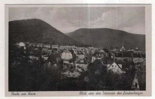 [Ansichtskarte] GERMANY - Thale im Harz - Blick von der Terrasse des Lindenberges. 
