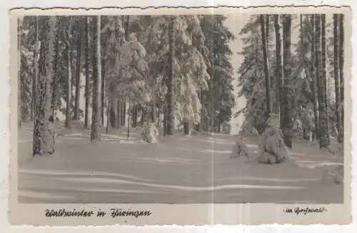 [Ansichtskarte] GERMANY - Waldwinter in Thüringen. 