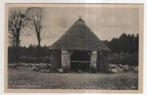 [Ansichtskarte] GERMANY - Schafstall in der Heide. 