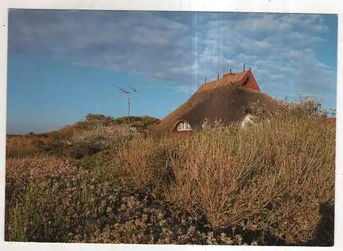 [Ansichtskarte] GERMANY - Strandhaus in Ahrenshoop. 