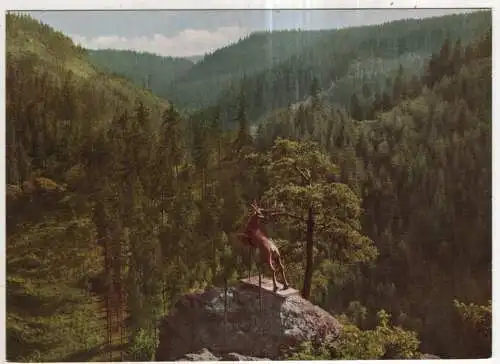 [Ansichtskarte] GERMANY - Hirschsprung über das Höllental im Frankenwald. 