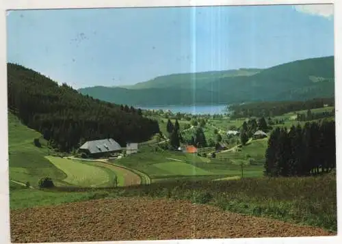 [Ansichtskarte] GERMANY - Blick zum Schluchsee / Hochschwarzwald. 