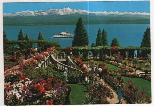[Ansichtskarte] GERMANY - Insel Mainau im Bodensee - Rosengarten. 