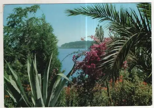 [Ansichtskarte] GERMANY - Tropeninsel Mainau im Bodensee - Agaven ... 