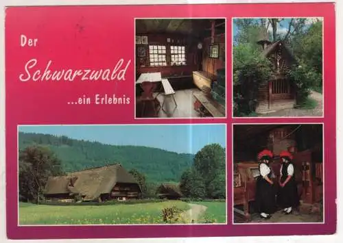 [Ansichtskarte] GERMANY - Der Schwarzwald ... ein Erlebnis. 