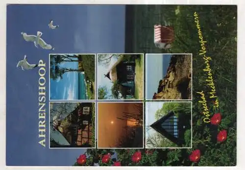 [Ansichtskarte] GERMANY - Ahrenshoop. 