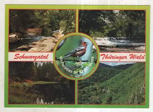 [Ansichtskarte] GERMANY - Schwarzatal / Thüringer Wald. 