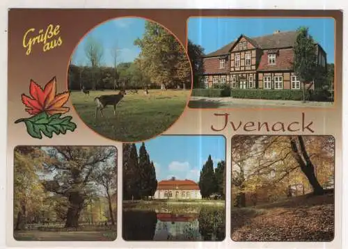 [Ansichtskarte] GERMANY - Ivenack. 