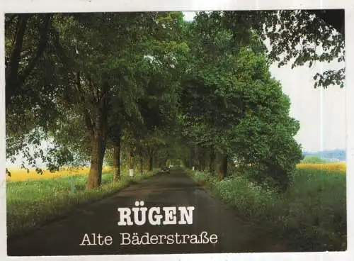 [Ansichtskarte] GERMANY - Rügen - Alte Bäderstraße. 