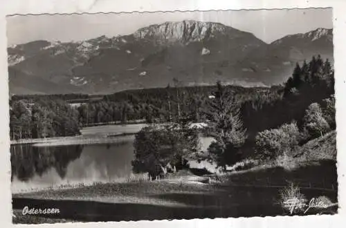 [Ansichtskarte] GERMANY - Osterseen. 
