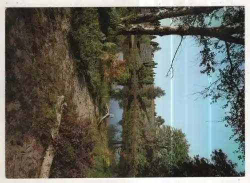 [Ansichtskarte] GERMANY - Naturschutzgebiet Lüneburger Heide. 