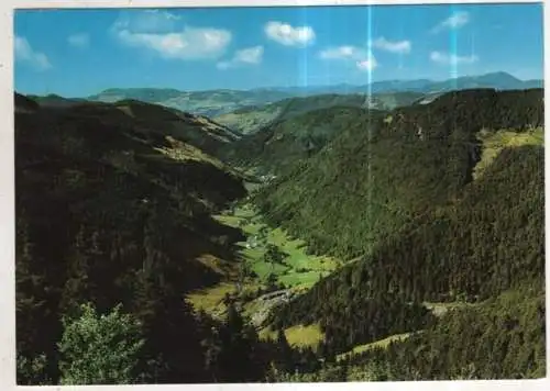 [Ansichtskarte] GERMANY - Blick ins Wiesental vom Feldberg / Schwarzwald. 