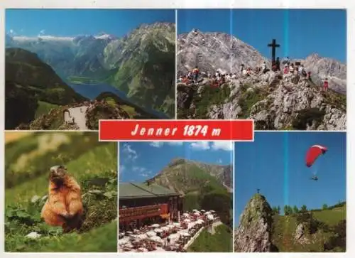 [Ansichtskarte] GERMANY - Jenner. 