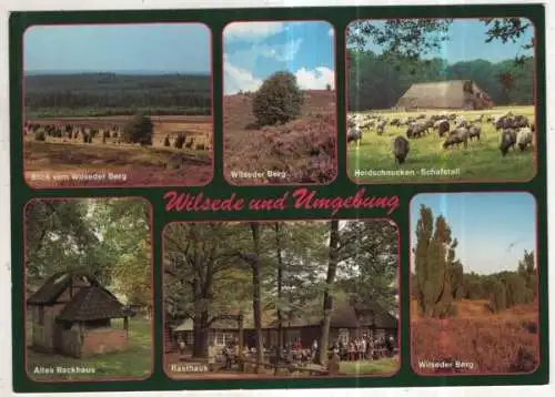 [Ansichtskarte] GERMANY - Wilsede und Umgebung. 