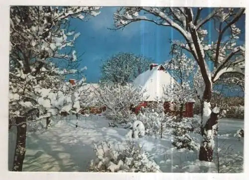 [Ansichtskarte] GERMANY - Winter auf der Insel Sylt. 