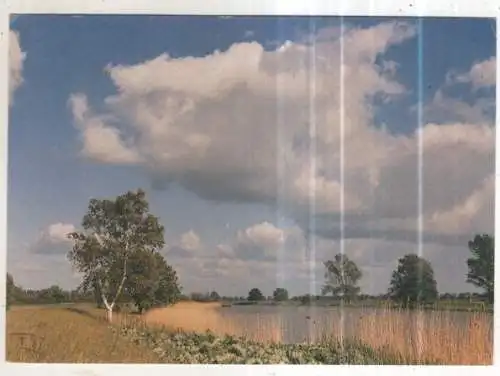 [Ansichtskarte] GERMANY - Ein Sommertag an der Leda. 